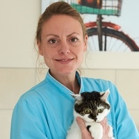 Stéphanie Jauniaux